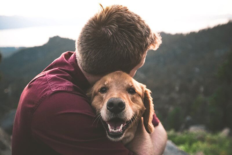 Dog with Owner